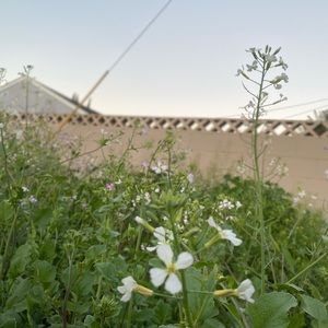 Meet your Posher, Kristi